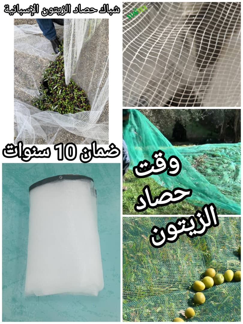  شباك حصاد الزيتون Filets de récolte d'olives image