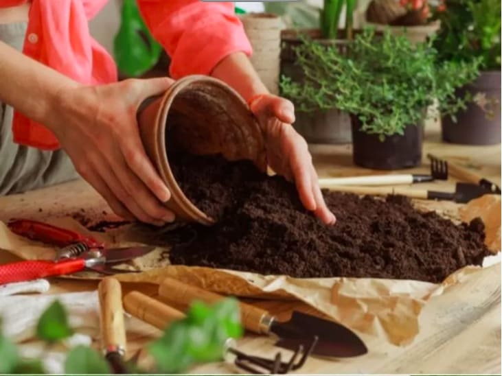 Vermicompost مخصب عضوي للتربة  image